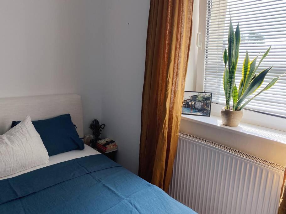 Cosy Apartment Tivoli Center Free Park Ljubljana Kültér fotó